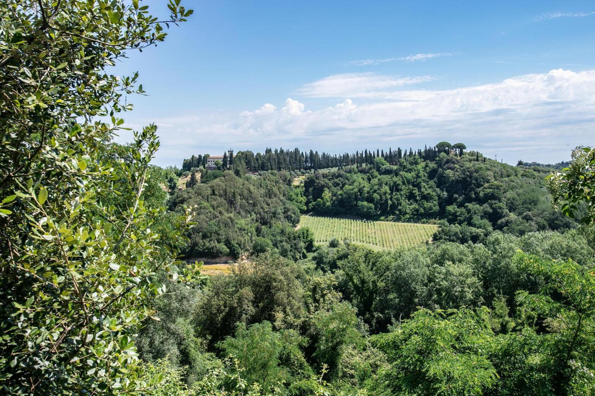 Fattoria Di * Colleoli
