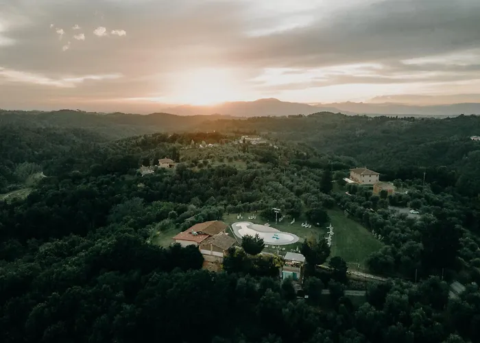Fattoria Di Colleoli